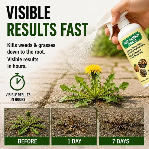 🔥2026 SALE Fast-Acting Natural Weed & Grass Killer Spray✨